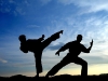 martial-arts-3.jpg