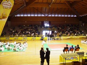 Panoramica